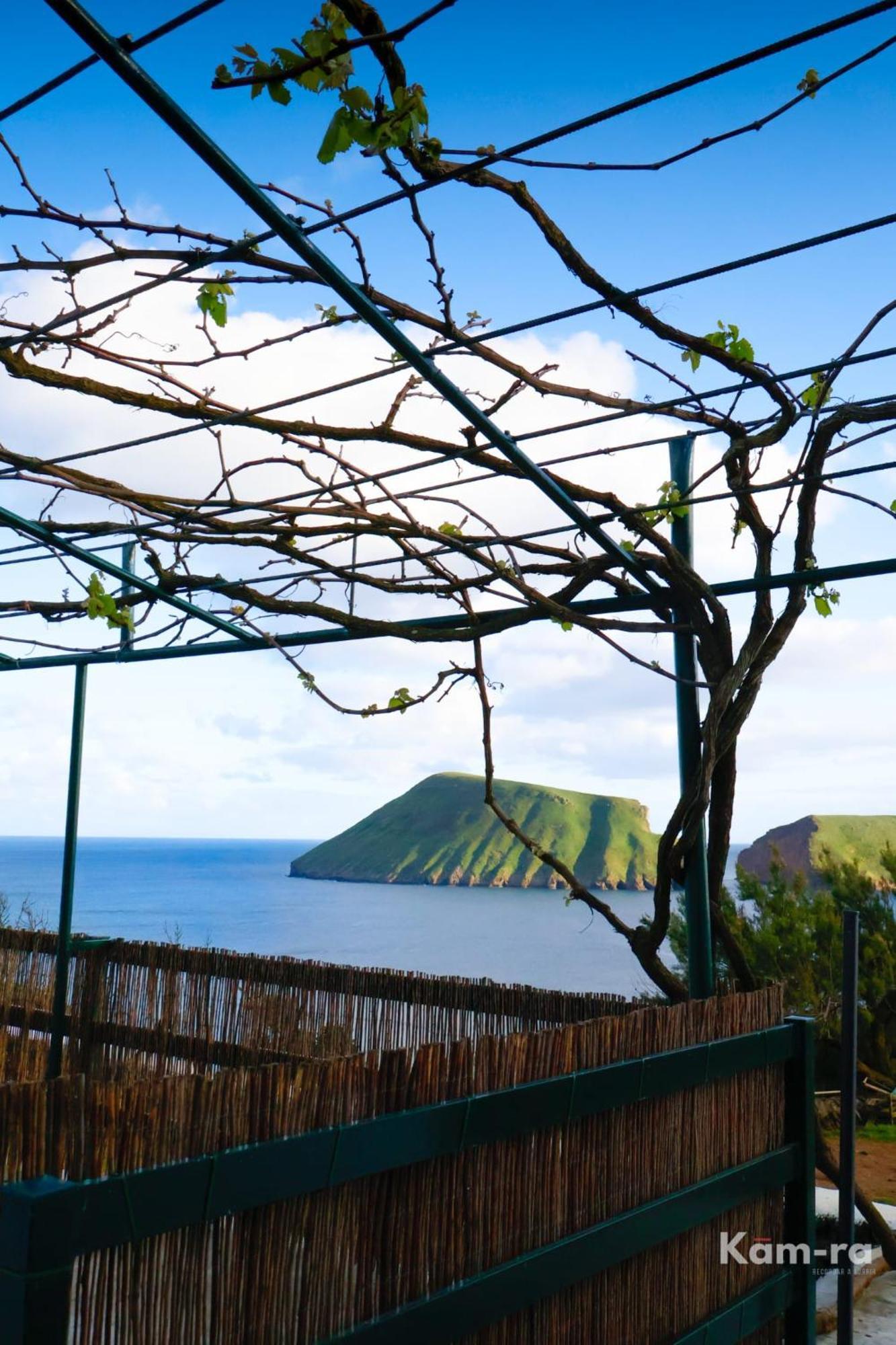 Casa Da Avo Couta Villa Angra do Heroismo Ngoại thất bức ảnh