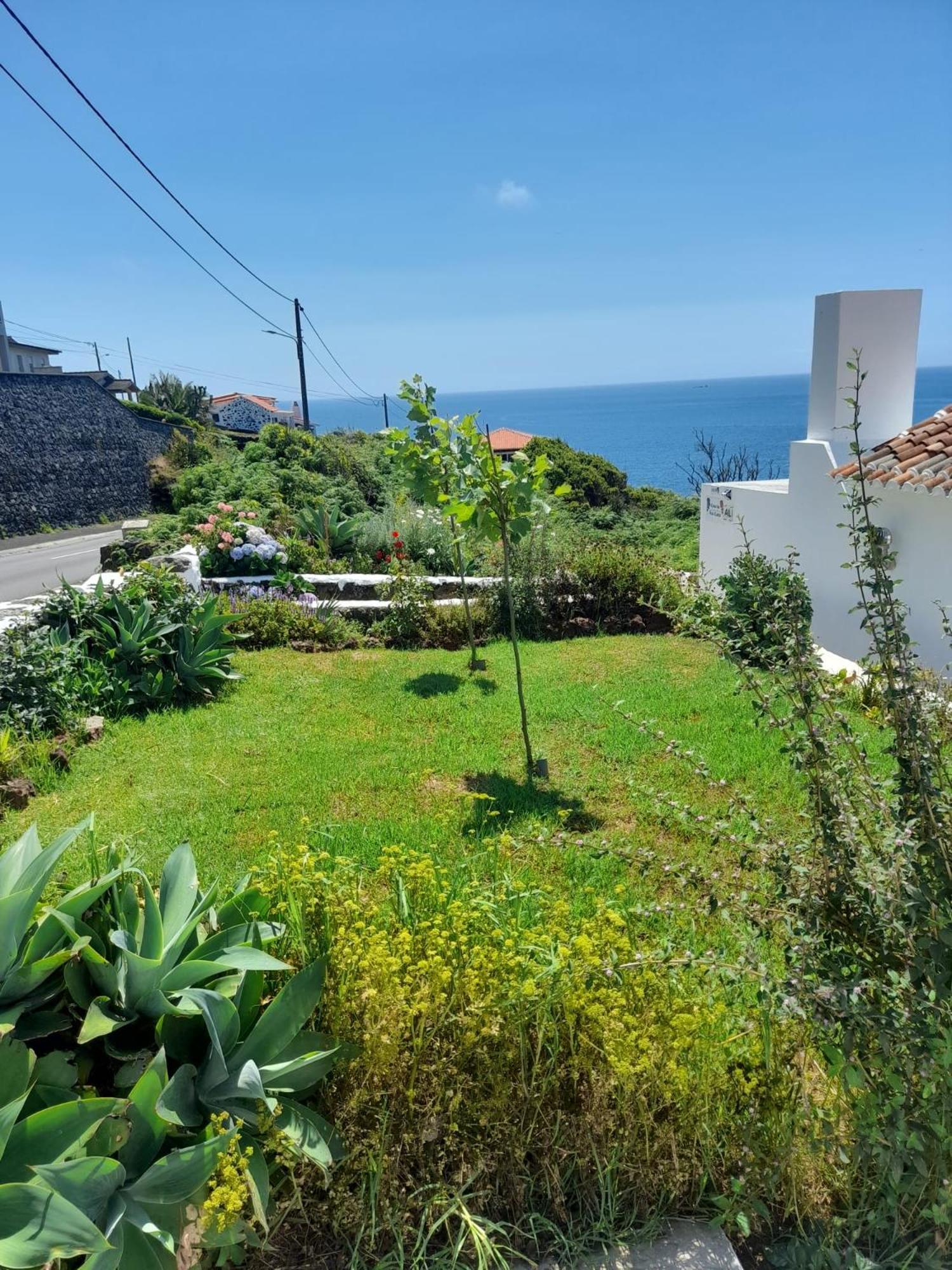 Casa Da Avo Couta Villa Angra do Heroismo Ngoại thất bức ảnh